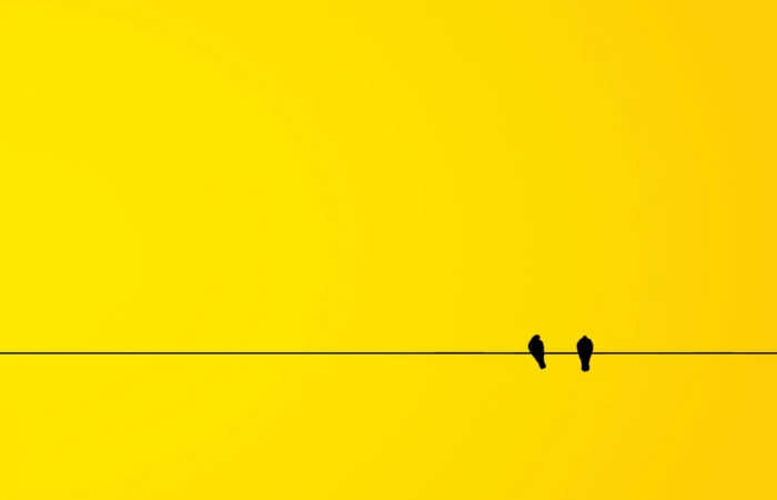 Method Marketing | Twitter for Business